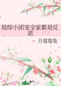 ����С�ų�ȫ�Ҷ��Ƿ���