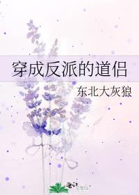 ���ɷ��ɵĵ���