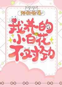 ������С�׻����Ծ�