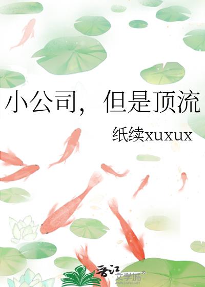 С��˾�����Ƕ���