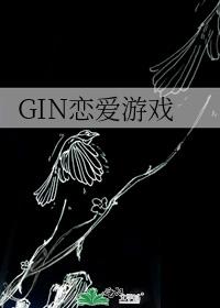 GIN������Ϸ